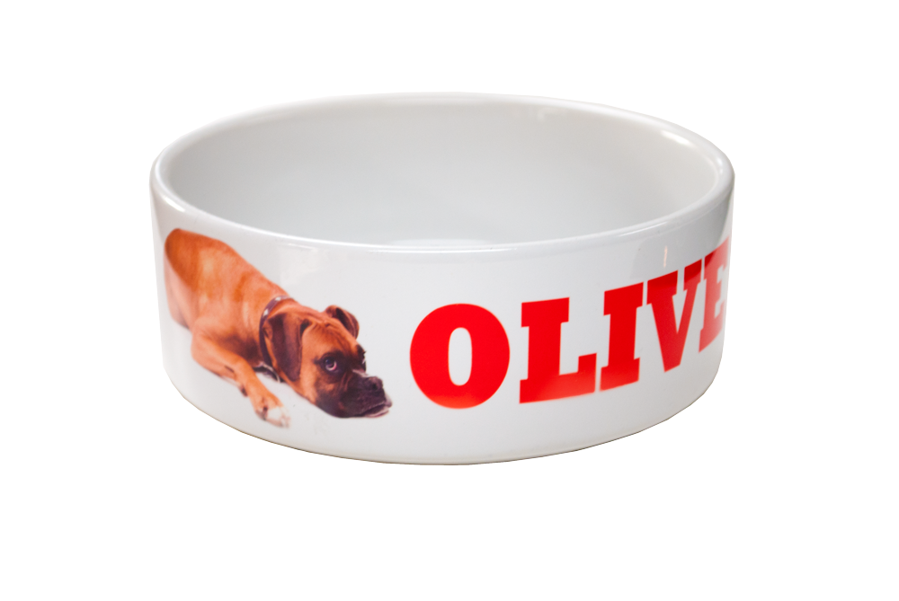 Shop Our Custom Ceramic Pet Bowls Perfect for Your Furry Friend